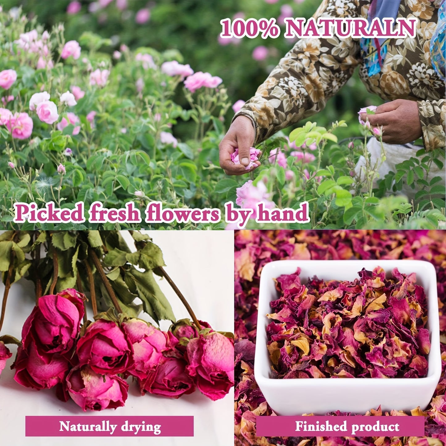 50 Bags 100% Natural Dried Herbs Kit